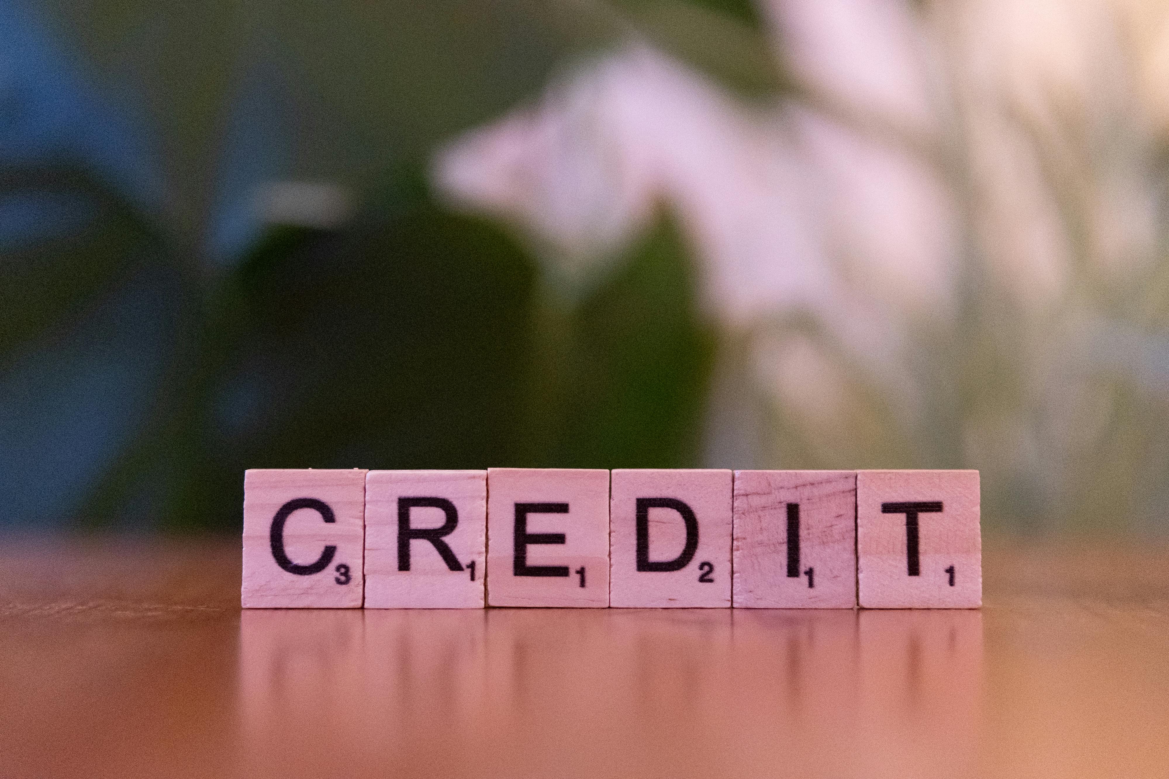 Credit Risk Management &amp; Portfolio Quality